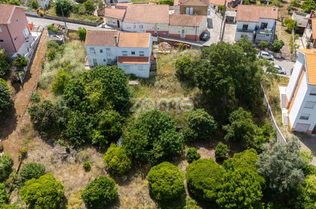 Terreno para Venda em São Martinho do Bispo e Ribeira de Frades Foto 14