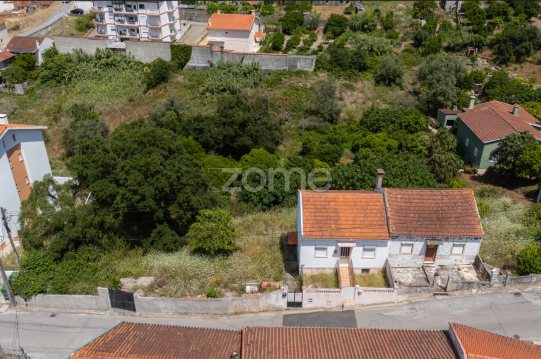 Terreno para Venda em São Martinho do Bispo e Ribeira de Frades Foto 16