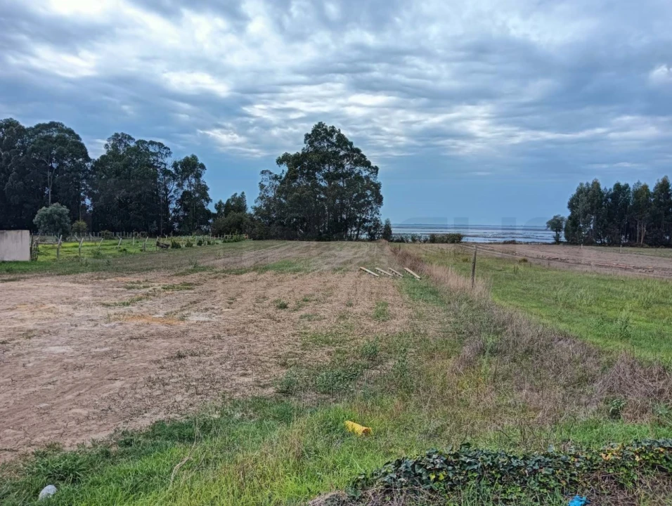 Terreno para Venda em Esgueira Foto 11
