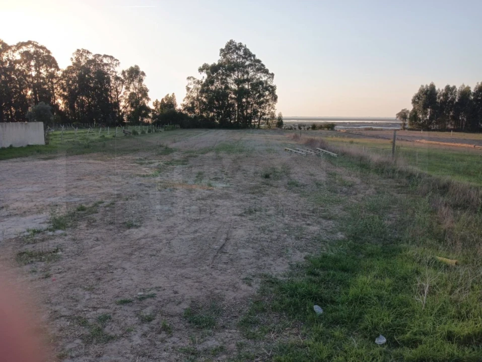 Terreno para Venda em Esgueira Foto 12