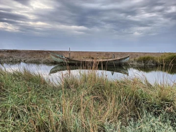Terreno para Venda em Esgueira