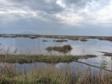 Terreno para Venda em Esgueira