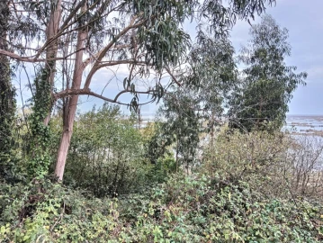 Terreno para Venda em Esgueira