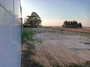 Terreno para Venda em Esgueira
