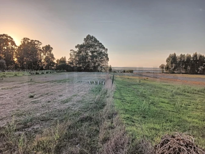 Terreno para Venda em Esgueira Foto 13