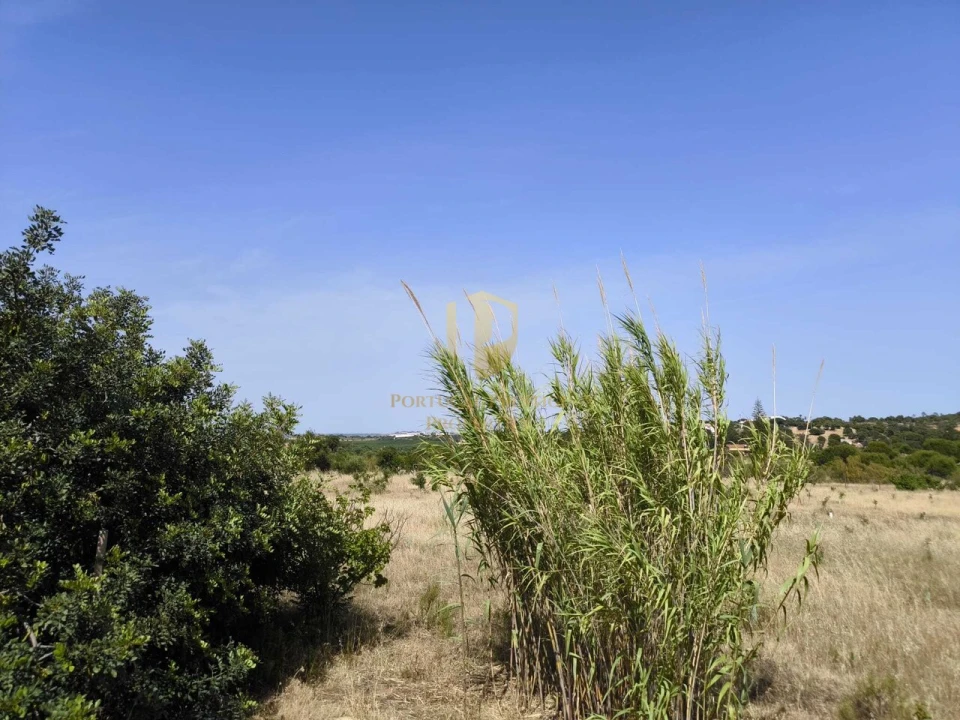 Negócio para Venda em Castro Marim Foto 48