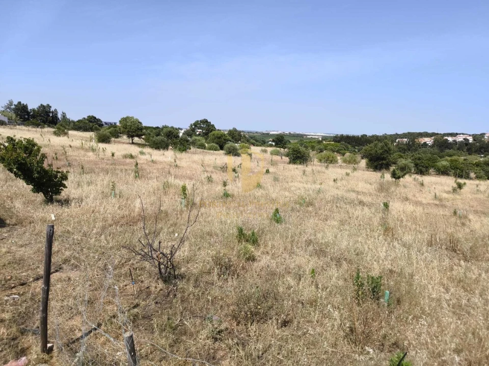 Negócio para Venda em Castro Marim Foto 53