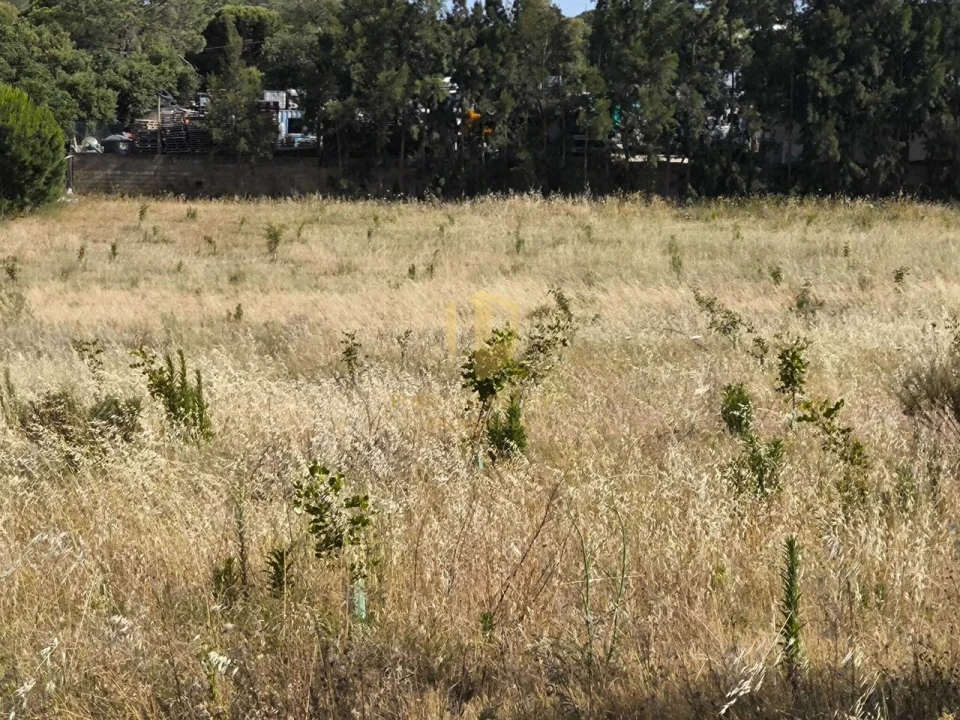 Negócio para Venda em Castro Marim Foto 59