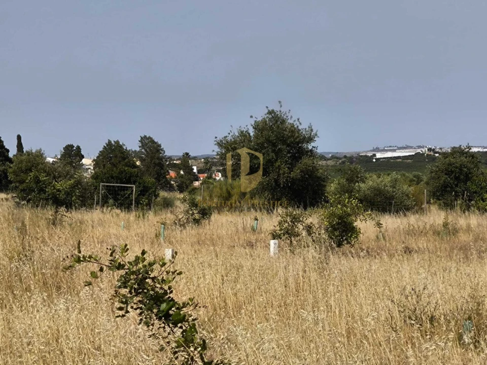 Negócio para Venda em Castro Marim Foto 63