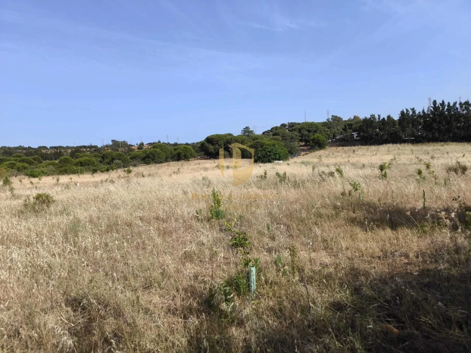 Negócio para Venda em Castro Marim Foto 65