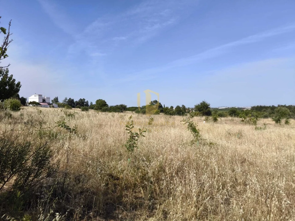 Negócio para Venda em Castro Marim Foto 69