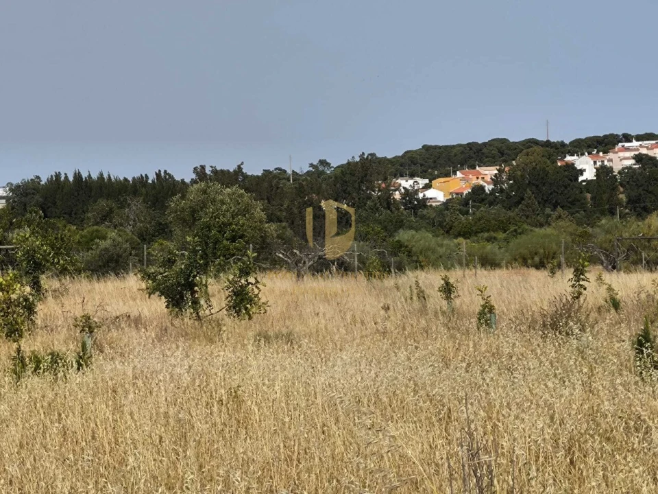 Negócio para Venda em Castro Marim Foto 74
