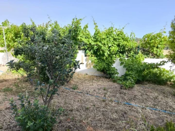 Negócio para Venda em Castro Marim