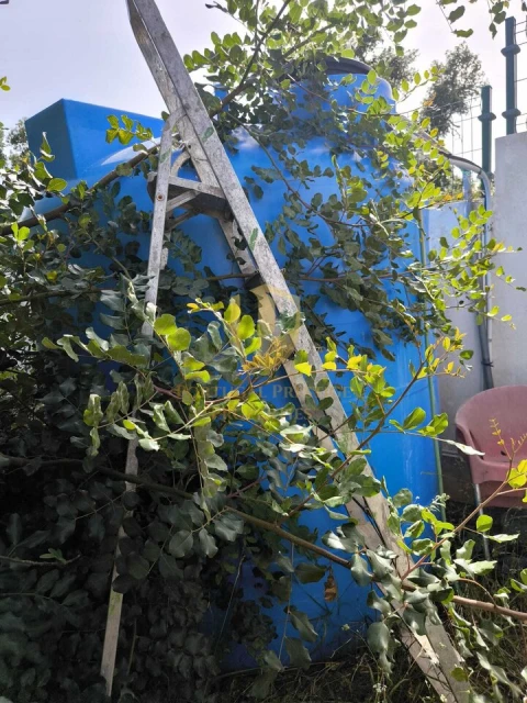 Negócio para Venda em Castro Marim