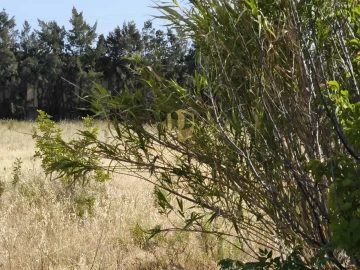 Negócio para Venda em Castro Marim