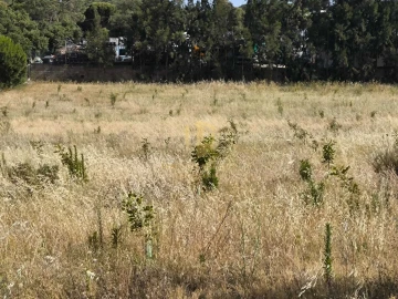 Negócio para Venda em Castro Marim