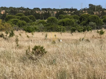 Negócio para Venda em Castro Marim