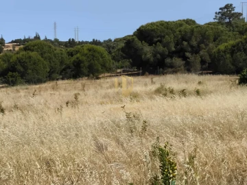 Negócio para Venda em Castro Marim