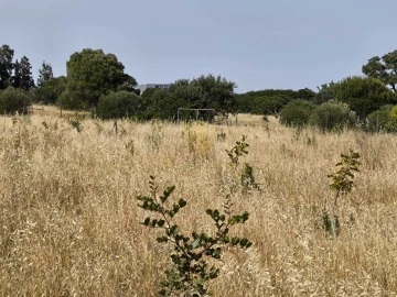 Negócio para Venda em Castro Marim