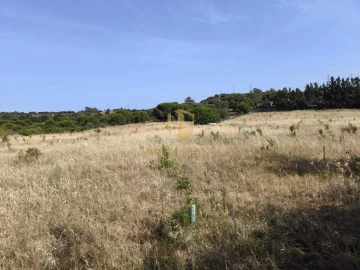 Negócio para Venda em Castro Marim
