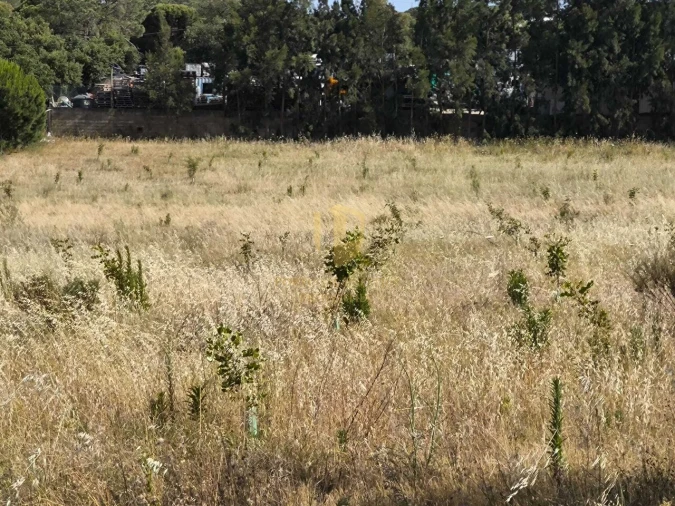 Negócio para Venda em Castro Marim Foto 59