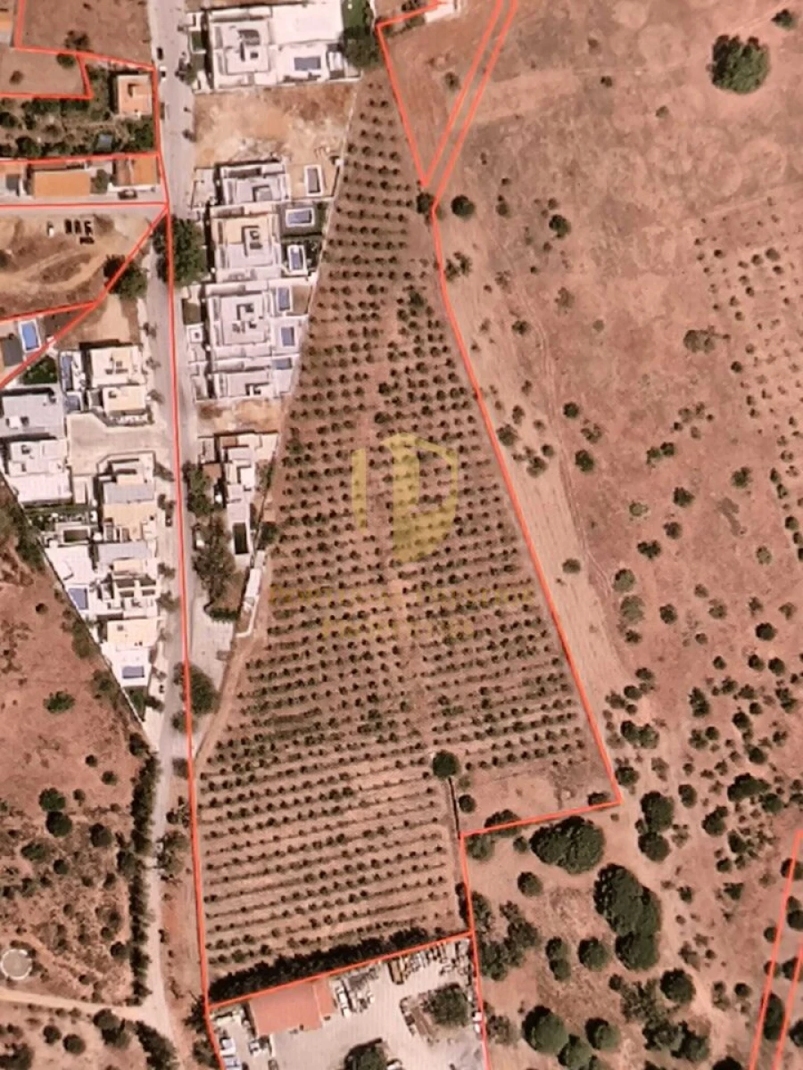 Negócio para Venda em Castro Marim Foto 73