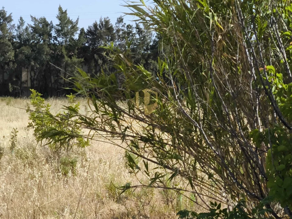 Quinta T3 para Venda em Castro Marim Foto 58