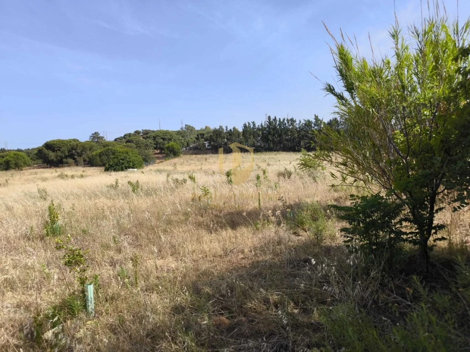 Quinta T3 para Venda em Castro Marim Foto 66