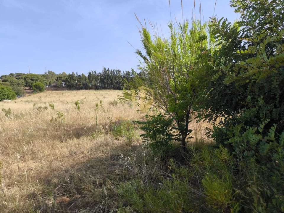 Quinta T3 para Venda em Castro Marim Foto 67