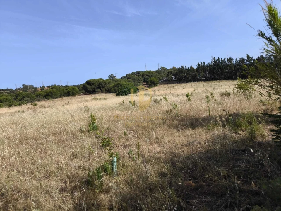 Quinta T3 para Venda em Castro Marim Foto 68