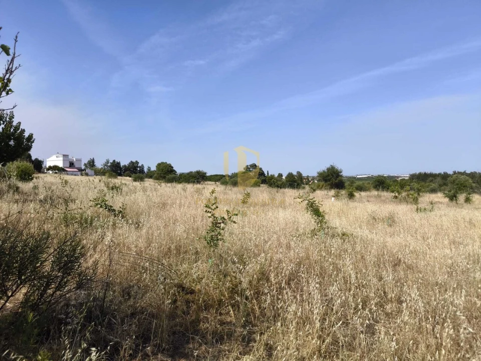 Quinta T3 para Venda em Castro Marim Foto 69