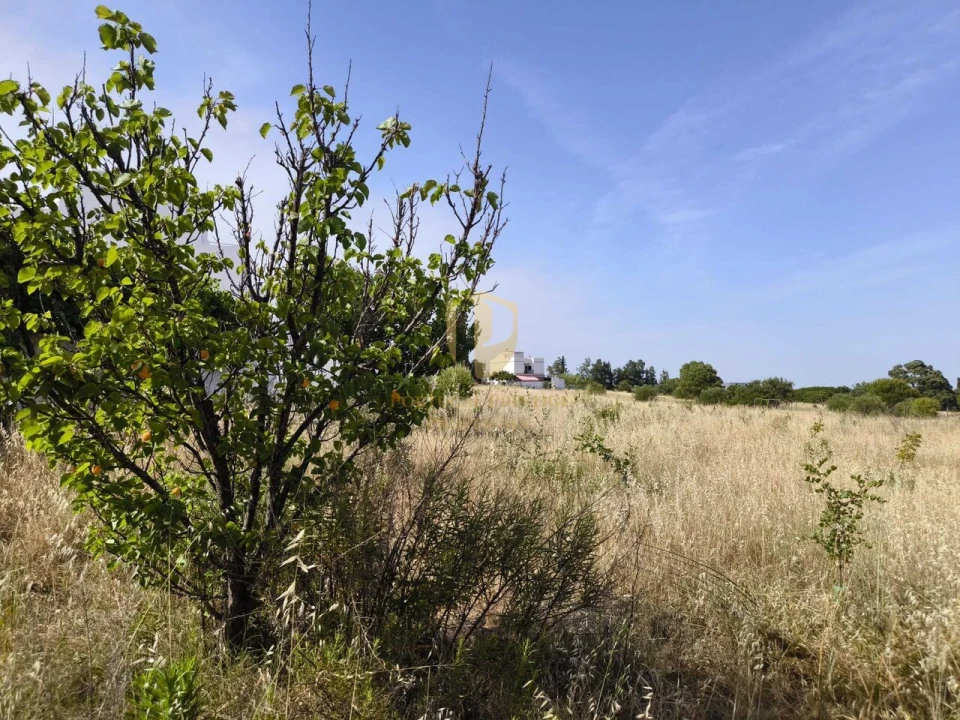 Quinta T3 para Venda em Castro Marim Foto 70