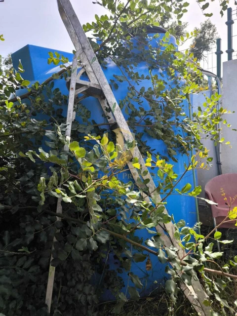 Quinta T3 para Venda em Castro Marim