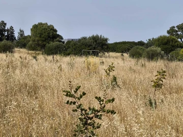 Quinta T3 para Venda em Castro Marim