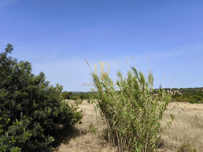 Quinta T3 para Venda em Castro Marim Foto 48