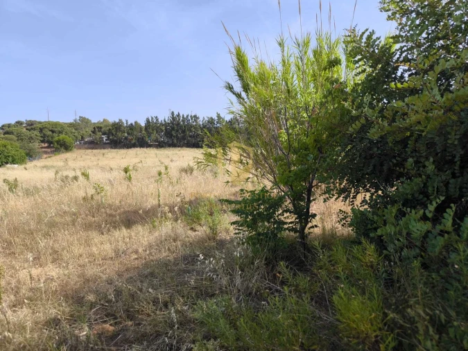 Quinta T3 para Venda em Castro Marim Foto 67