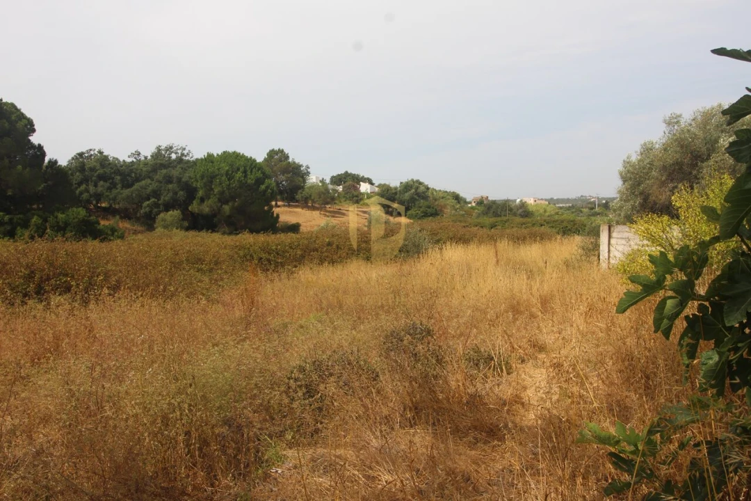 Negócio para Venda em Luz de Tavira e Santo Estêvão Foto 65
