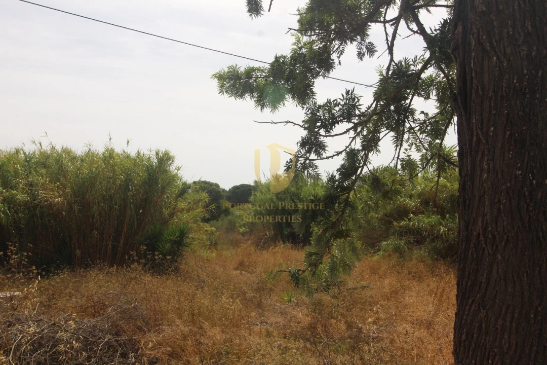 Negócio para Venda em Luz de Tavira e Santo Estêvão Foto 66