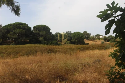 Negócio para Venda em Luz de Tavira e Santo Estêvão