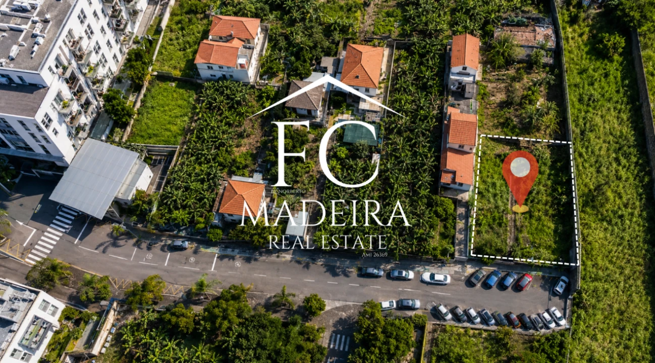 Terreno para Venda em São Martinho Foto 3