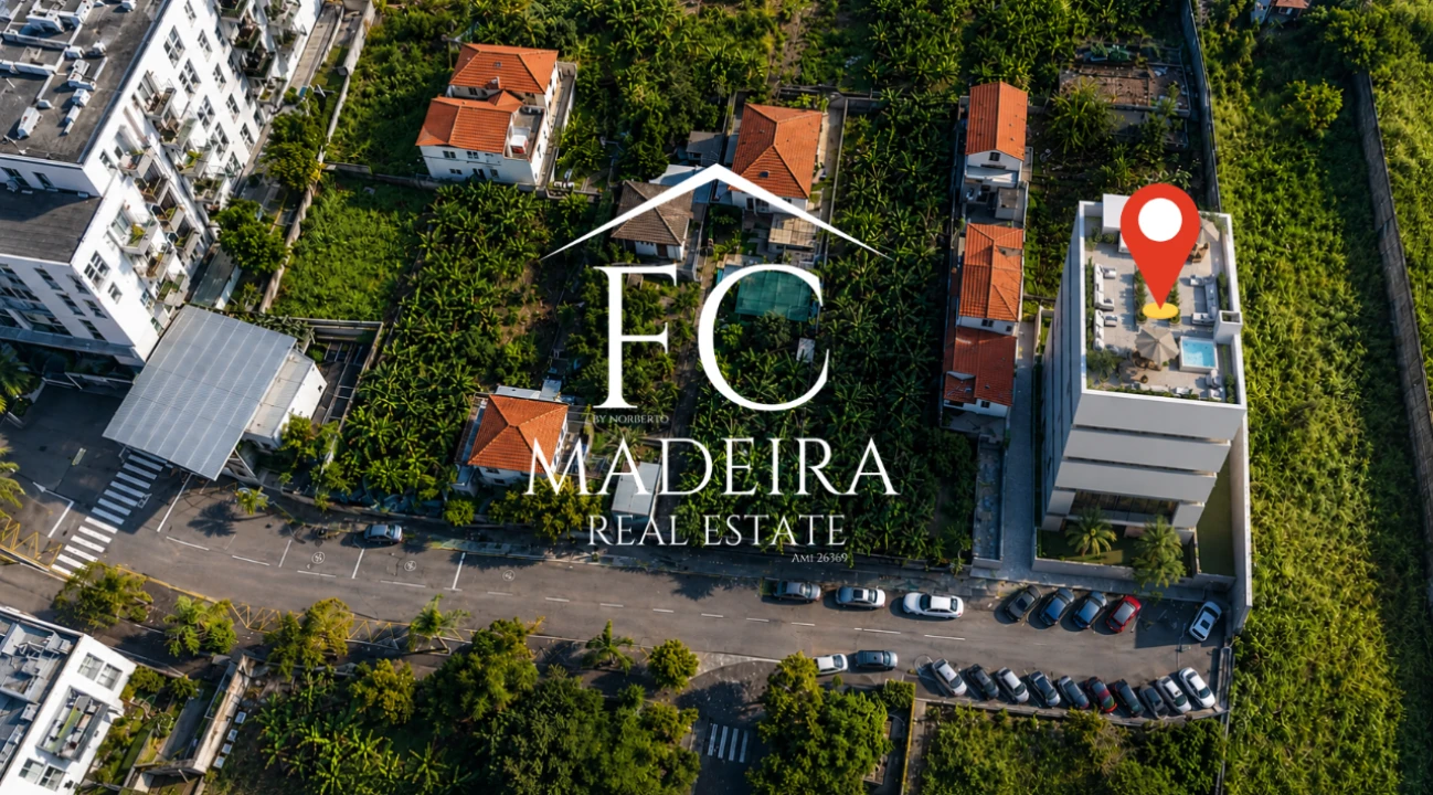 Terreno para Venda em São Martinho Foto 4