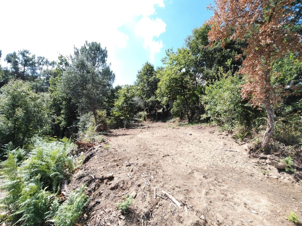 Terreno para Venda em Maçãs de D. Maria Foto 13