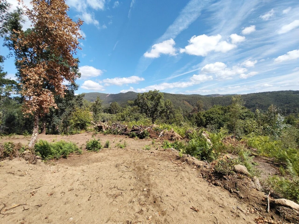 Terreno para Venda em Maçãs de D. Maria Foto 3