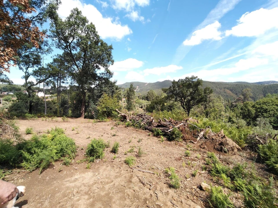 Terreno para Venda em Maçãs de D. Maria Foto 19
