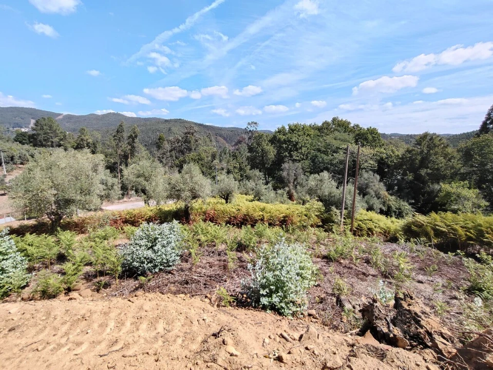 Terreno para Venda em Maçãs de D. Maria Foto 1