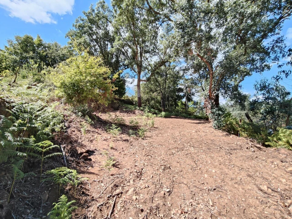 Terreno para Venda em Maçãs de D. Maria Foto 32
