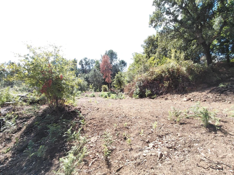 Terreno para Venda em Maçãs de D. Maria Foto 33