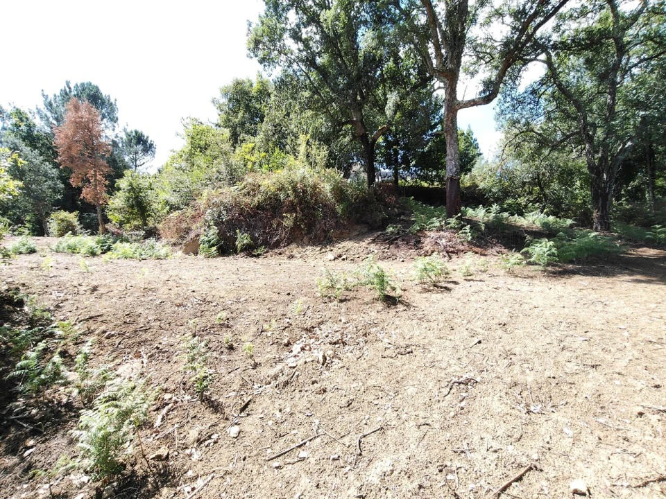 Terreno para Venda em Maçãs de D. Maria Foto 34