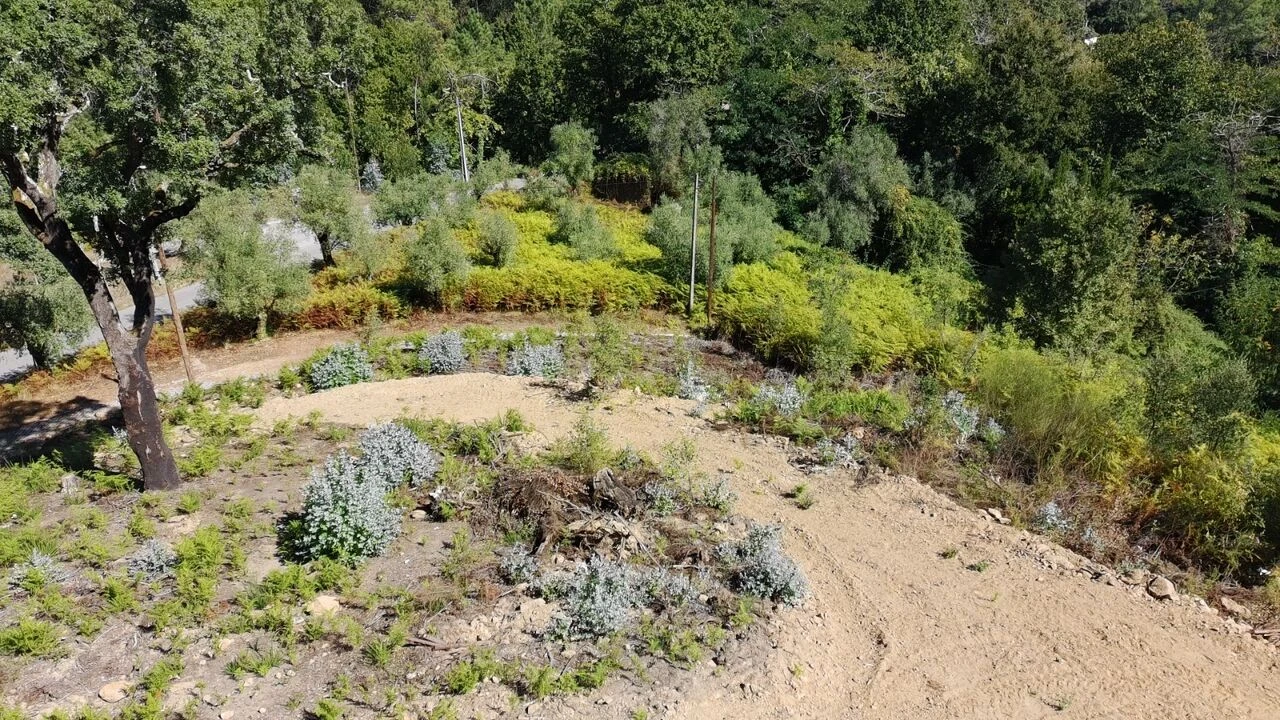 Terreno para Venda em Maçãs de D. Maria Foto 38