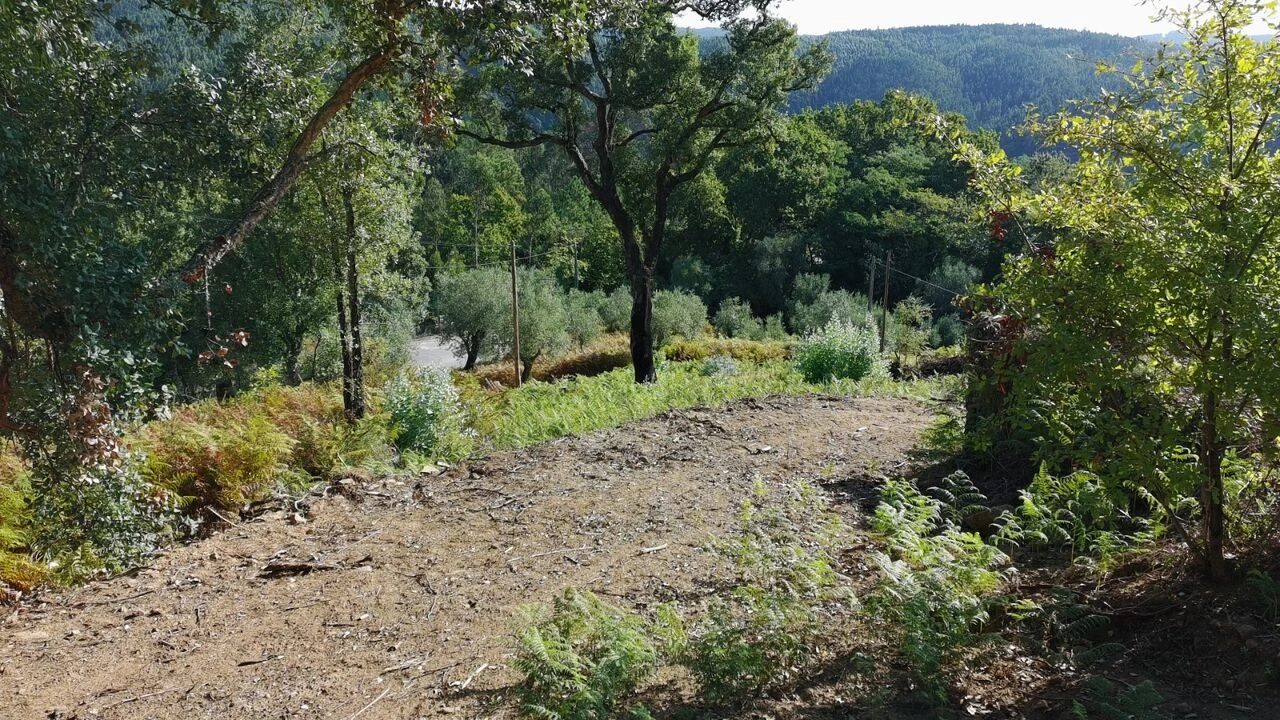 Terreno para Venda em Maçãs de D. Maria Foto 41